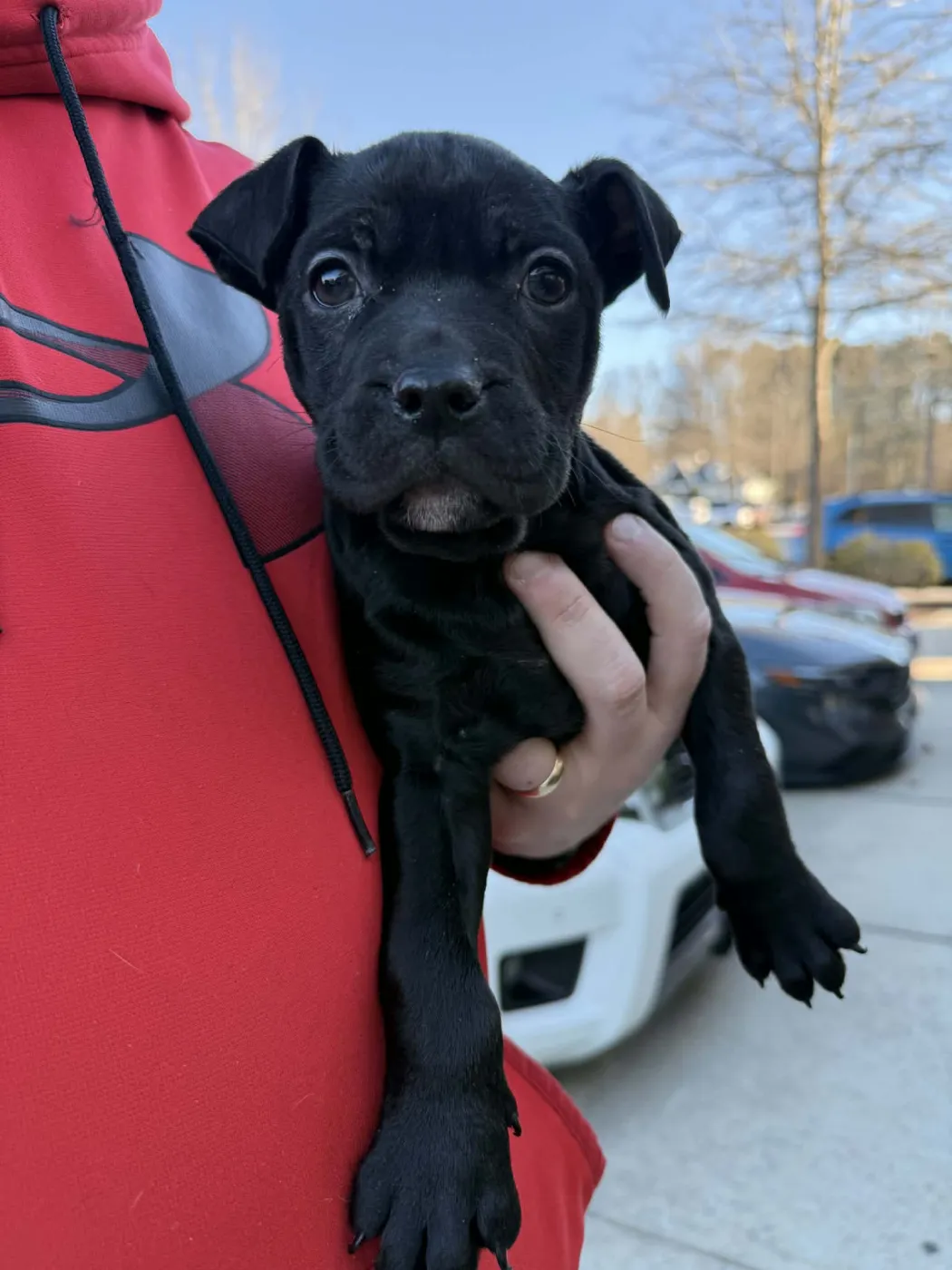 Baba O'Reilly - Photo 2