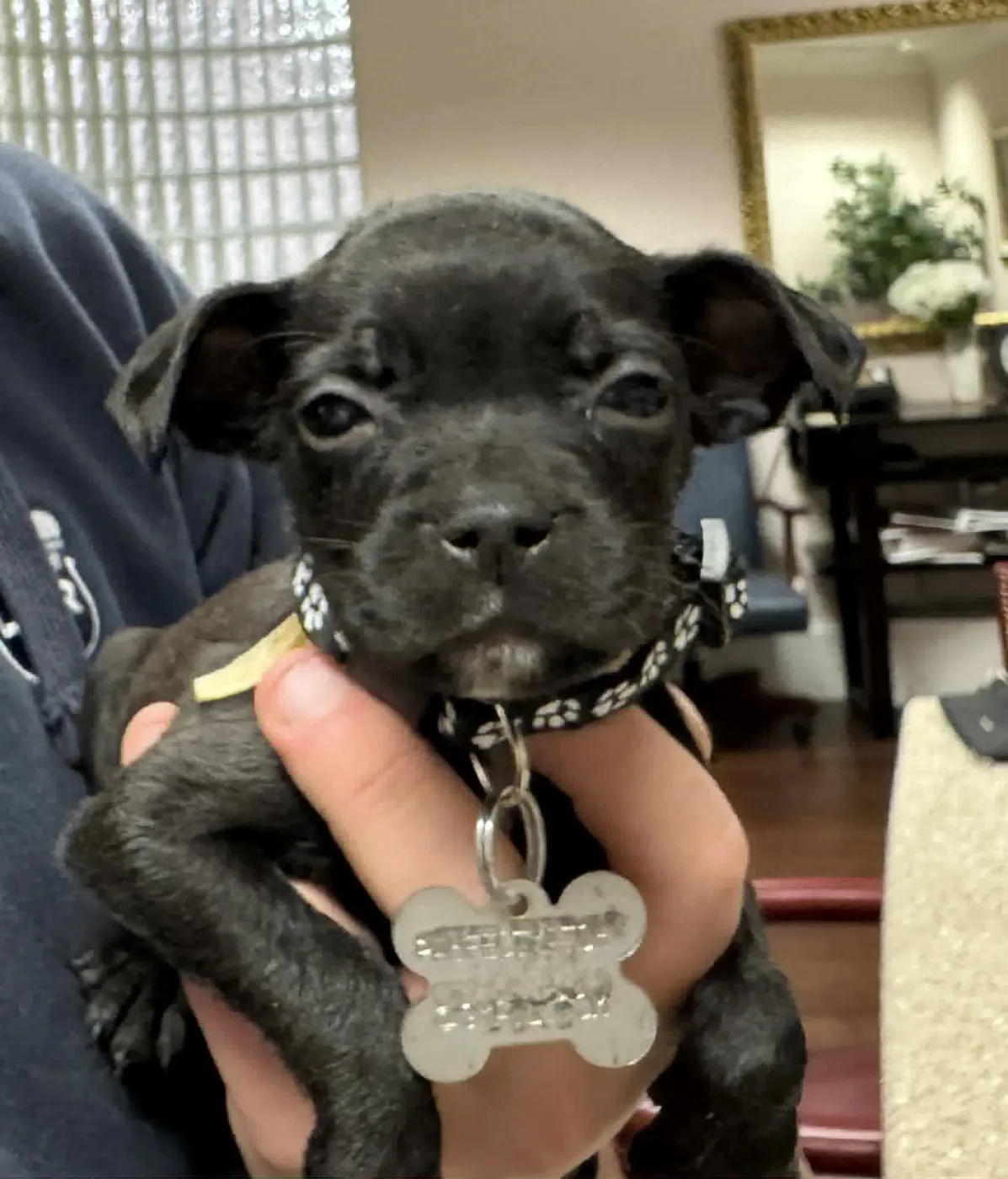 Baba O'Reilly - Photo 3