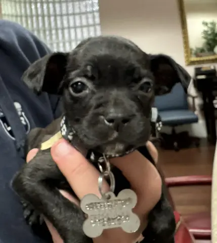 Baba O'Reilly thumbnail 4