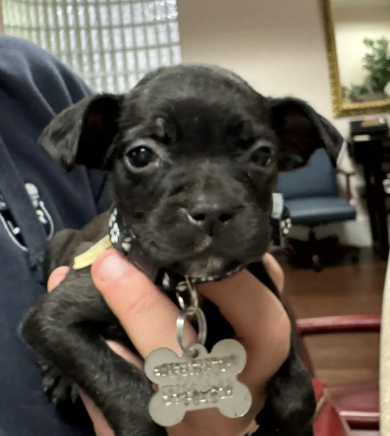 Baba O'Reilly - Photo 4