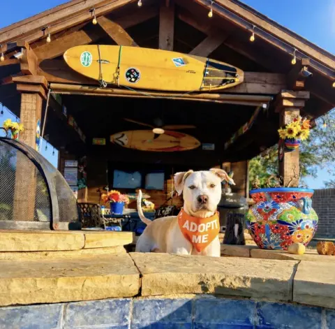 McMuffin thumbnail 3