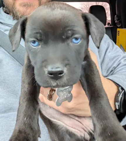 Guinness thumbnail 2