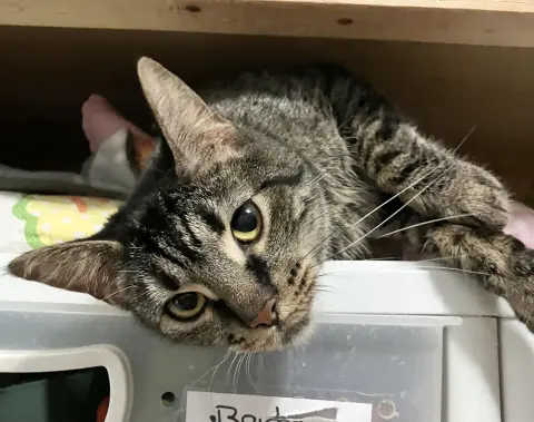 Nightlight thumbnail 2