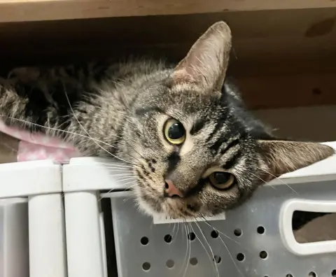 Nightlight thumbnail 3