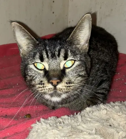 Nightlight thumbnail 4