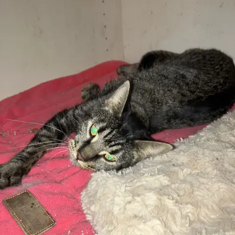 Nightlight thumbnail 5