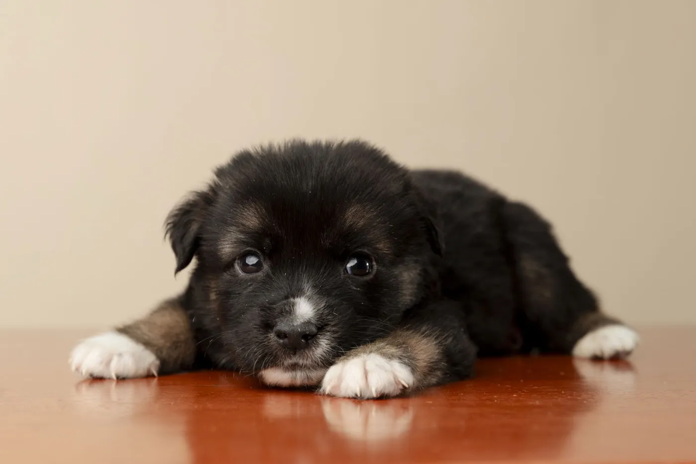 King Edward - Photo 1