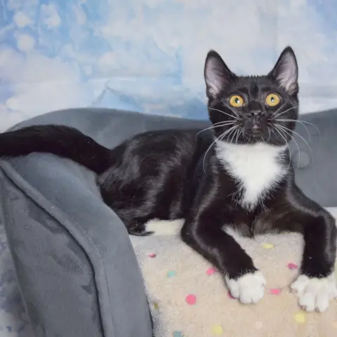 Cranberry thumbnail 4