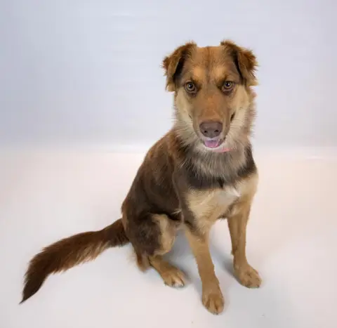 Valentina thumbnail 4