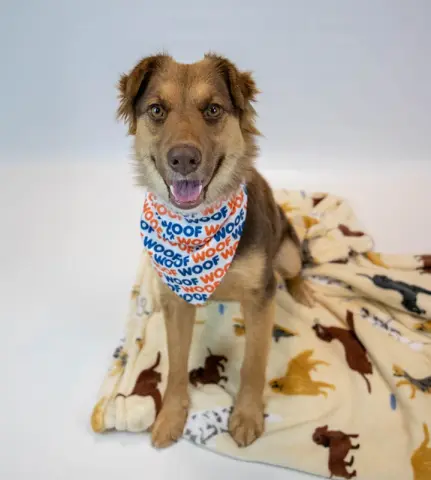 Valentina thumbnail 5