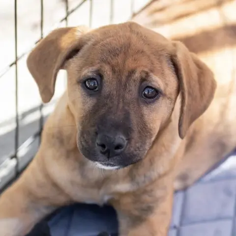 Catarina thumbnail 2