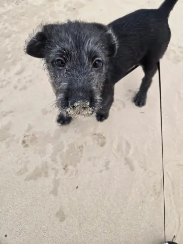 Danielle thumbnail 4