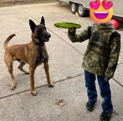 Jack Jack thumbnail 2