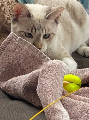 Bella Maria thumbnail 2