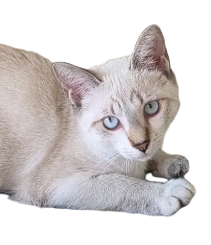 Bella Maria thumbnail 3