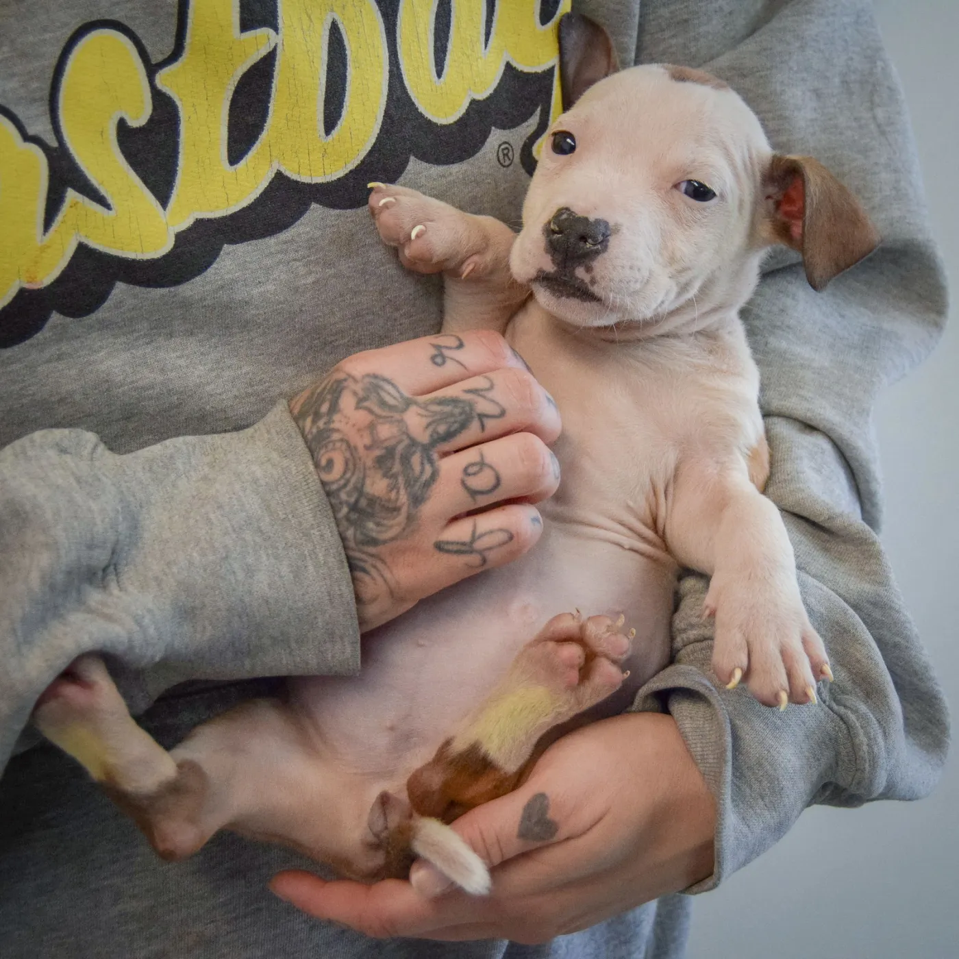 Betty Boop - Photo 5