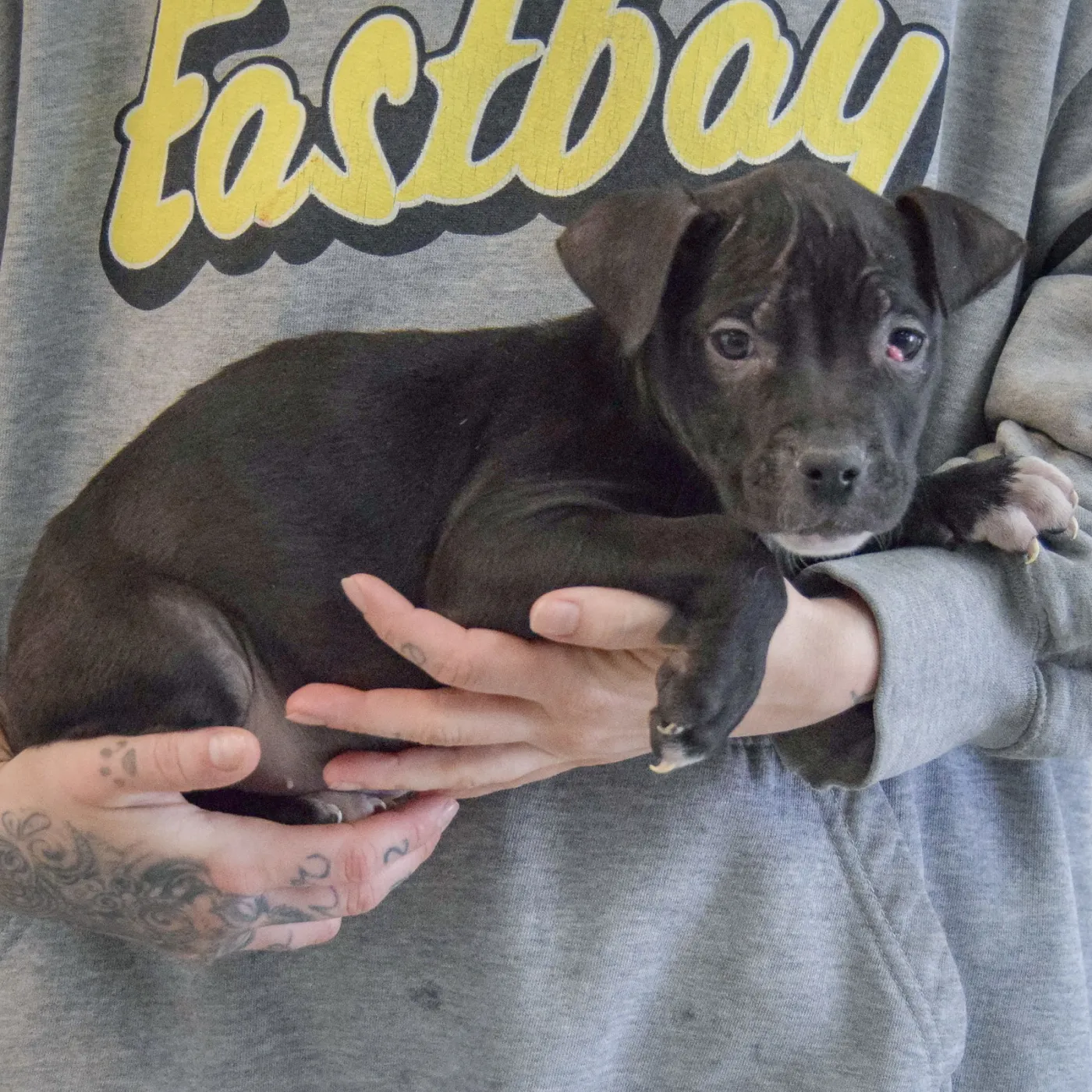 Claire Bear - Photo 2