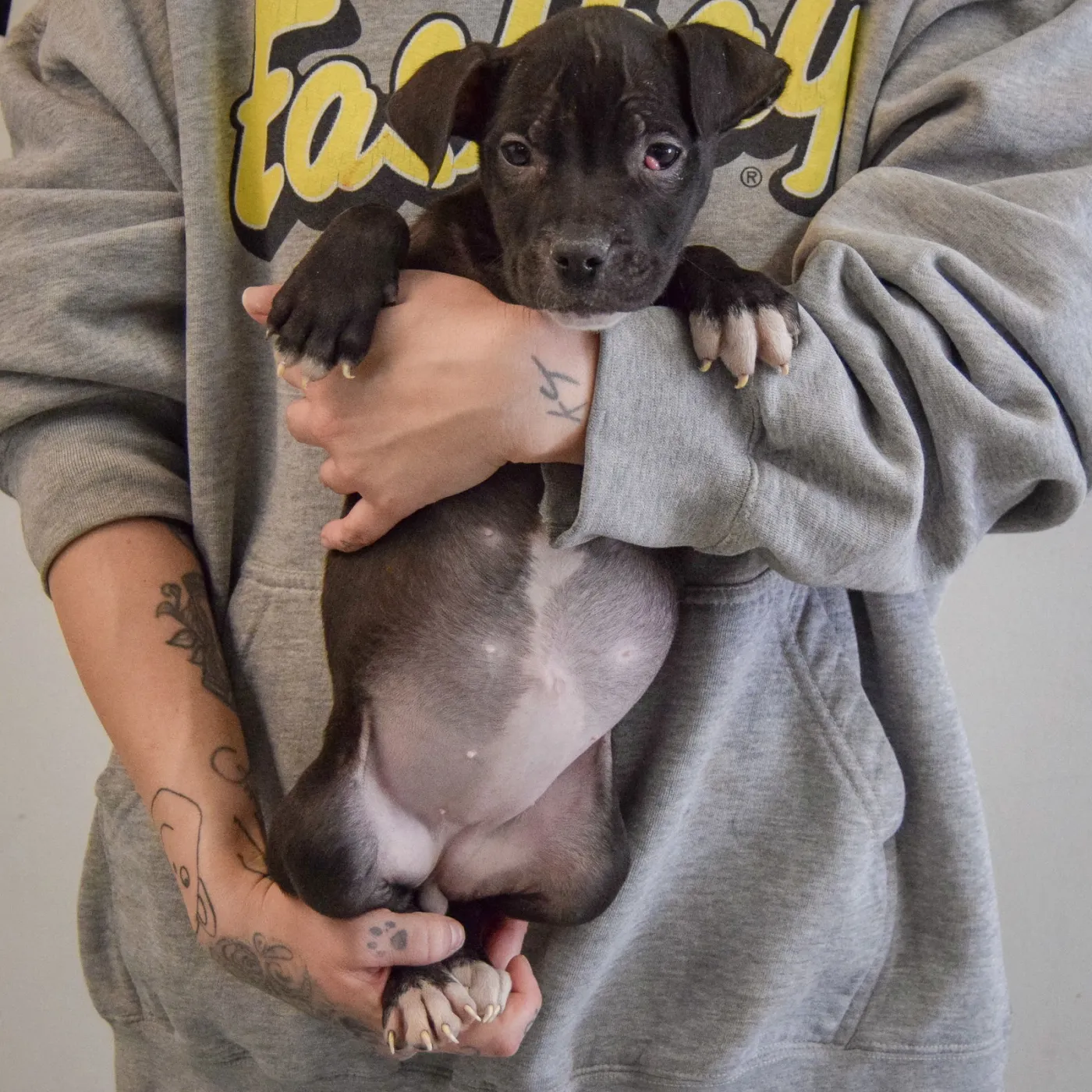 Claire Bear - Photo 3