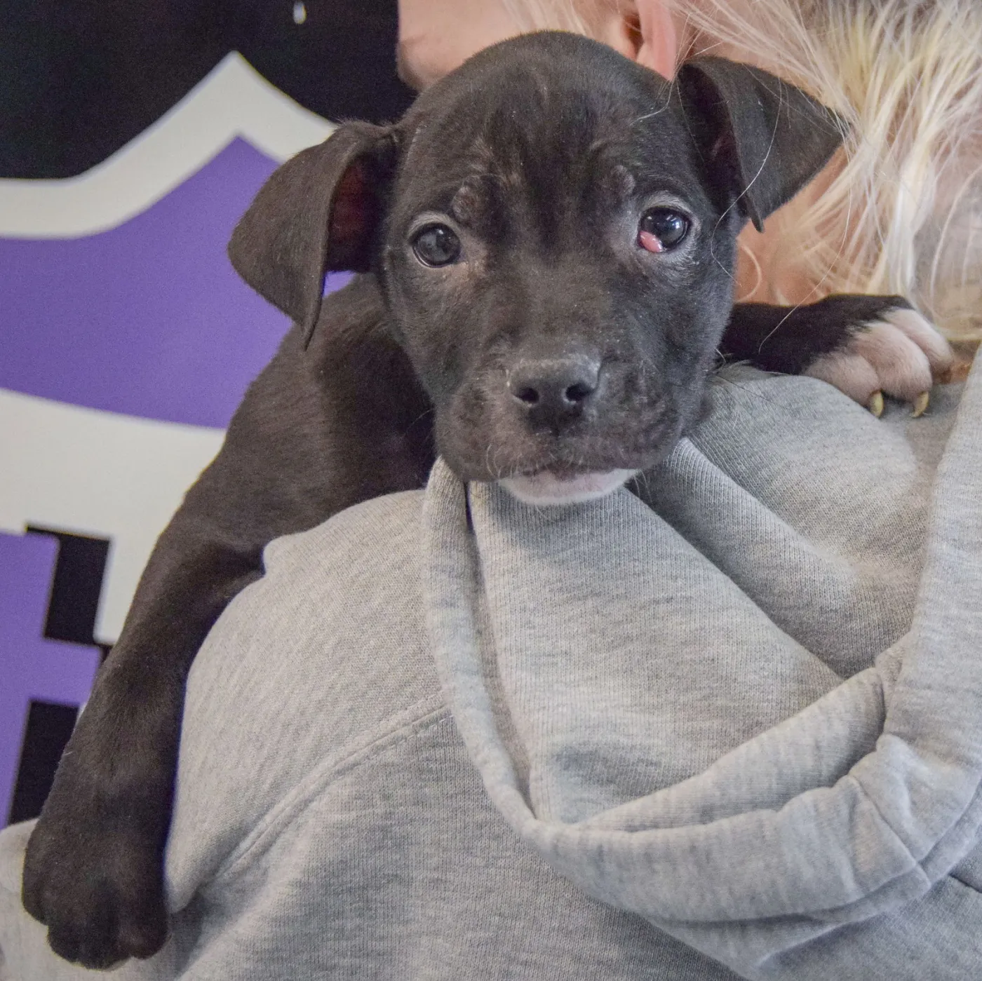 Claire Bear - Photo 5