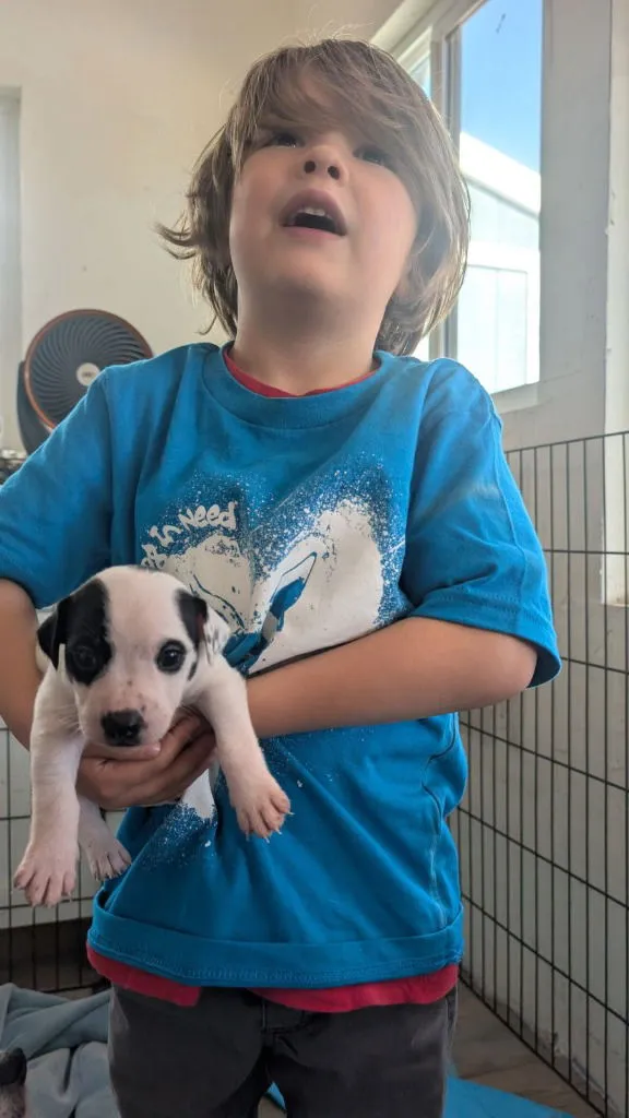 Squilliam Fancison - Photo 2