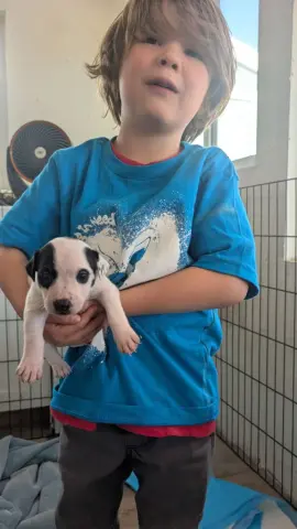 Squilliam Fancison thumbnail 3