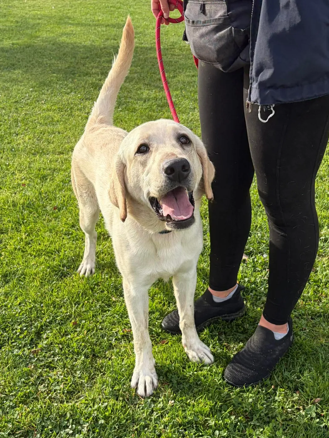 Michelangelo - Photo 2