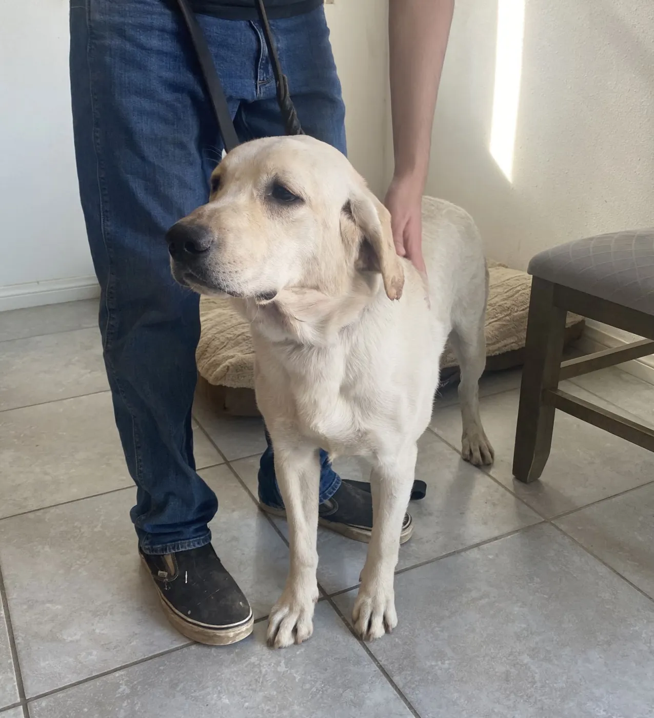 Michelangelo - Photo 5