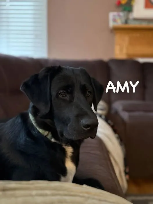 Amy - Photo 2