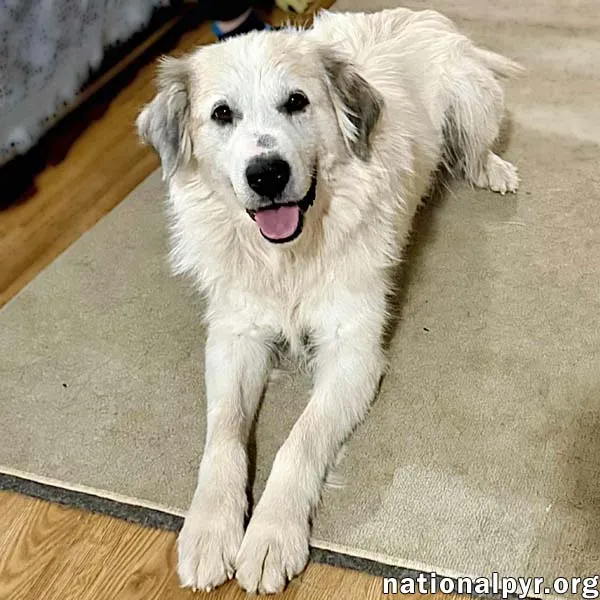 Pretty Girl - Photo 1