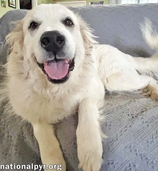 Pretty Girl - Photo 2