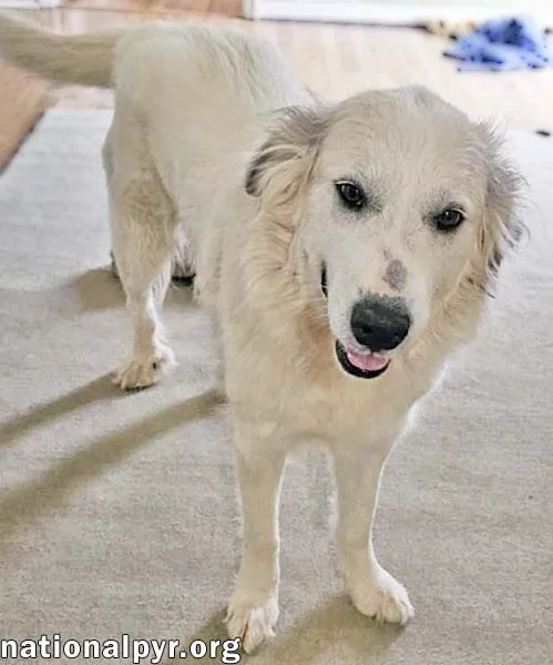 Pretty Girl - Photo 3