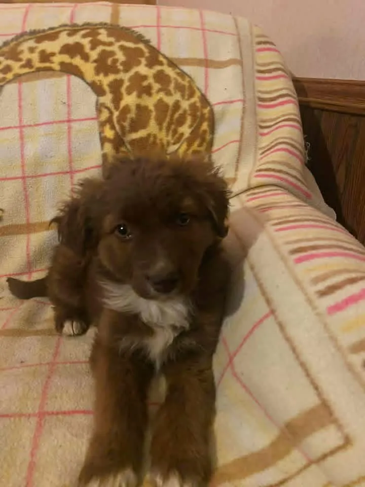 Rylee Maya - Photo 1