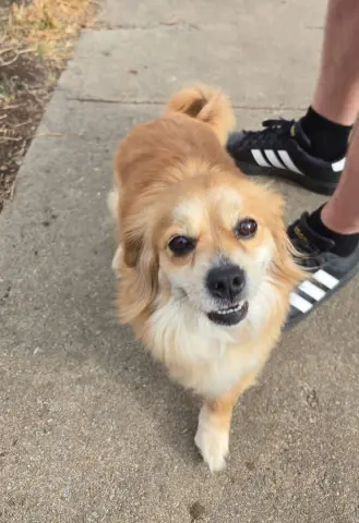 Princess thumbnail 3