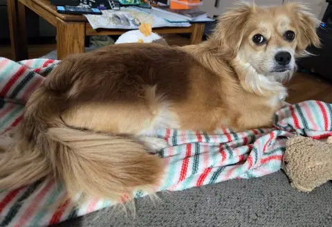 Princess thumbnail 5