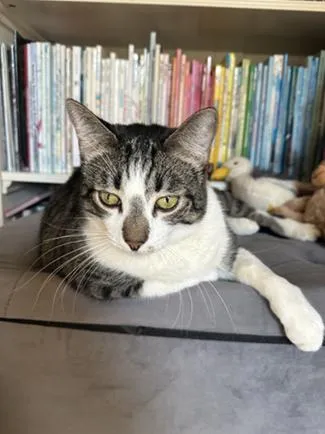 Little John - Photo 2