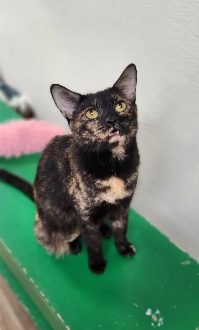 Kaleidoscope - Photo 1