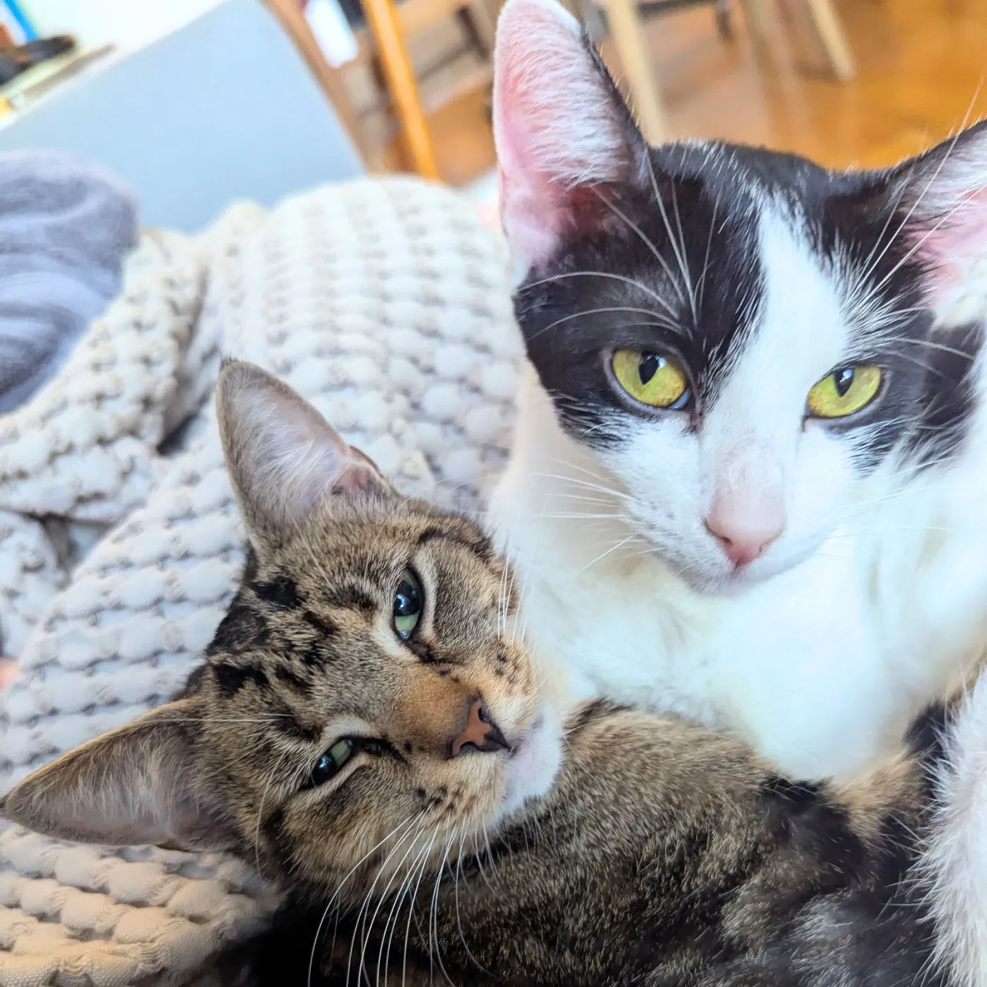 Adva & Mari-Tuuli - Photo 1