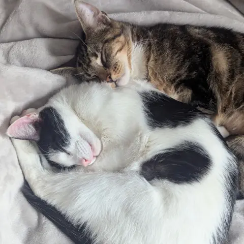 Adva & Mari-Tuuli thumbnail 2