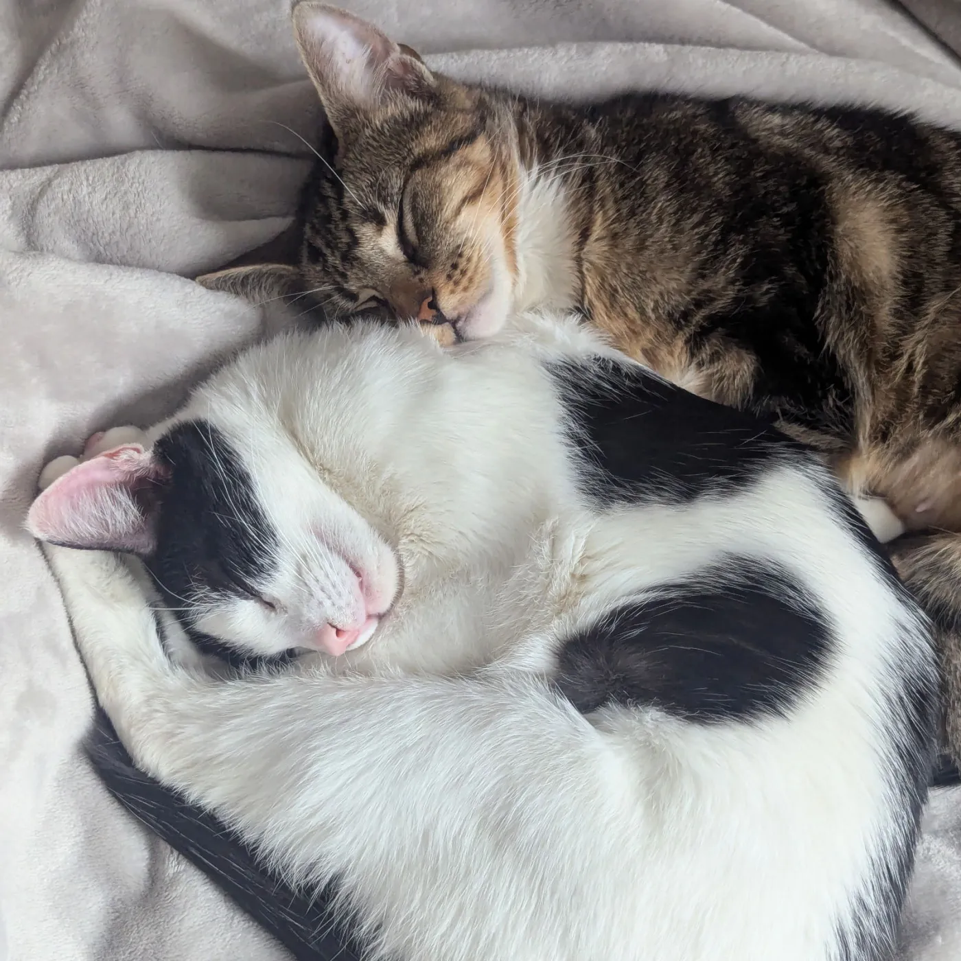 Adva & Mari-Tuuli - Photo 2