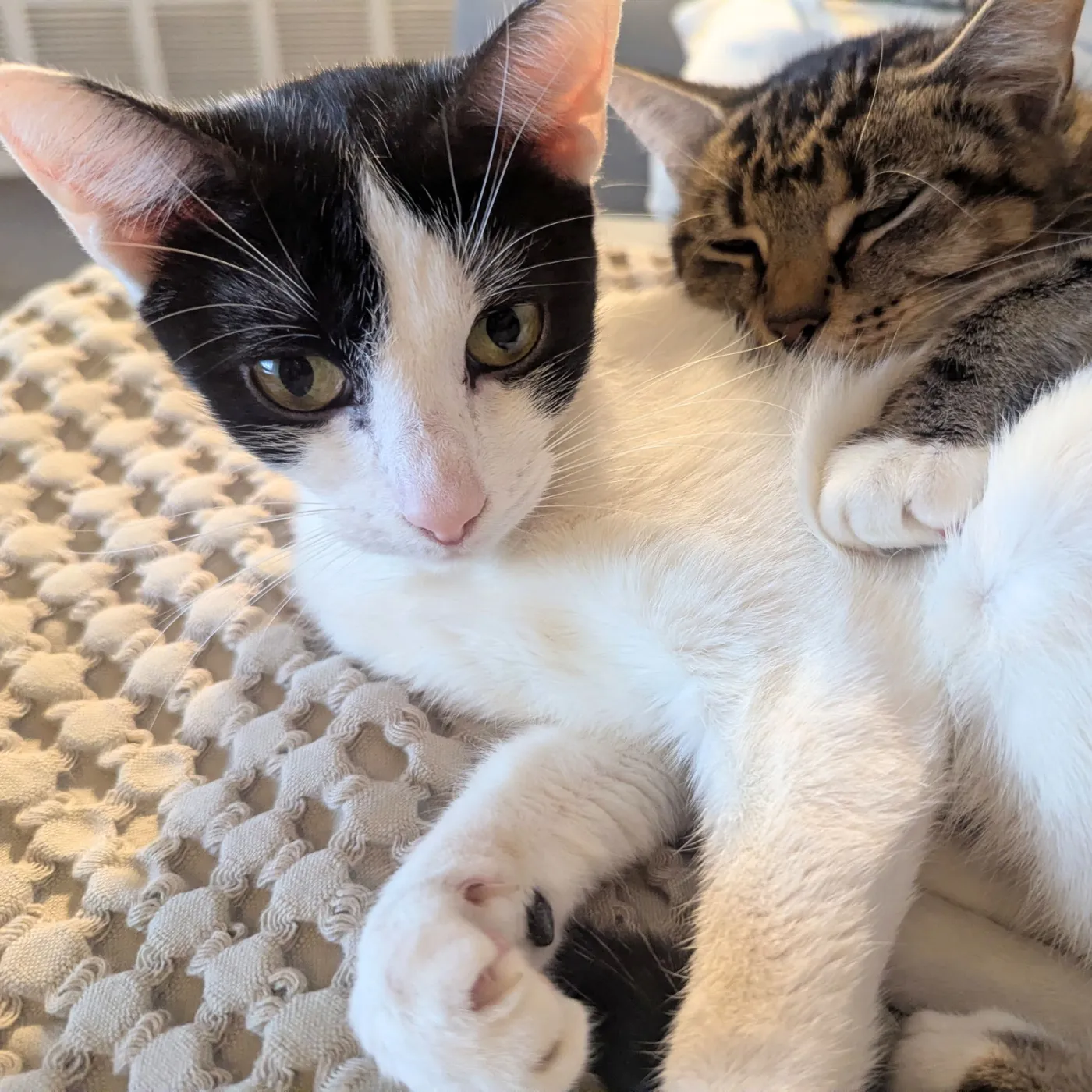 Adva & Mari-Tuuli - Photo 3