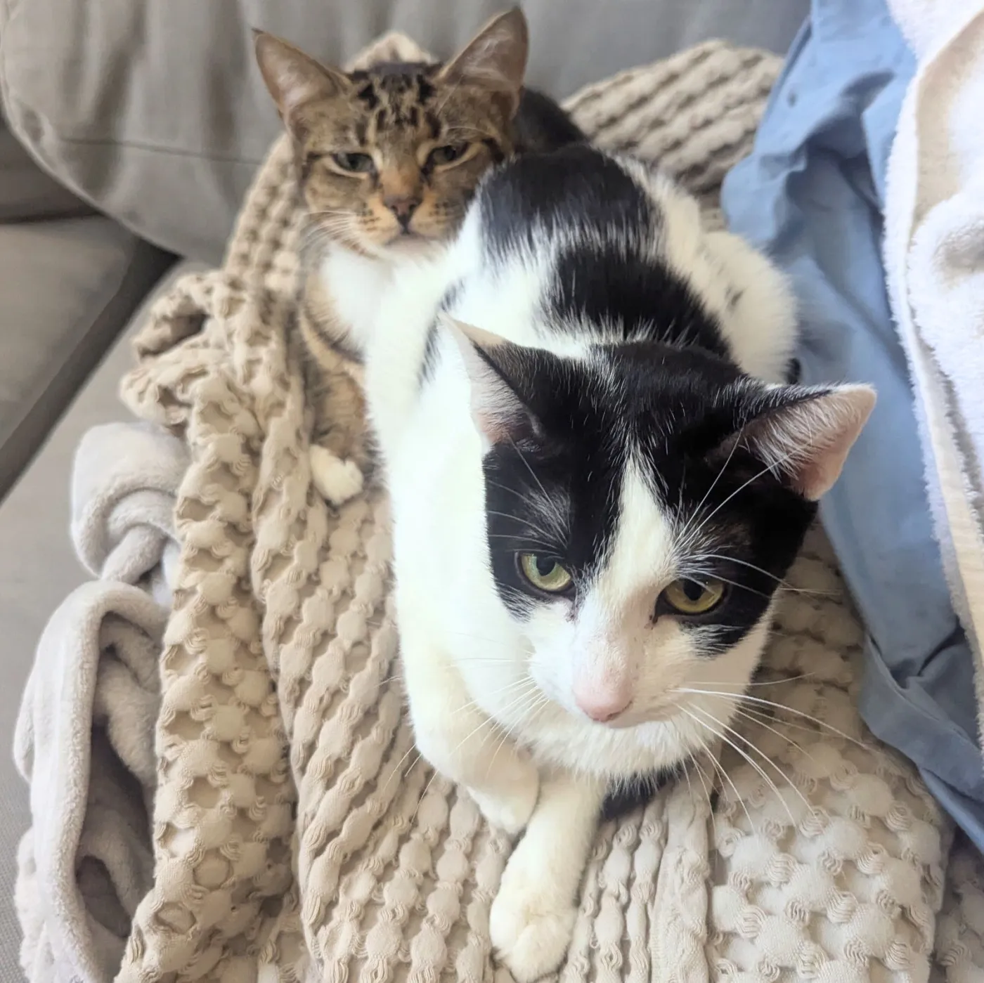 Adva & Mari-Tuuli - Photo 4