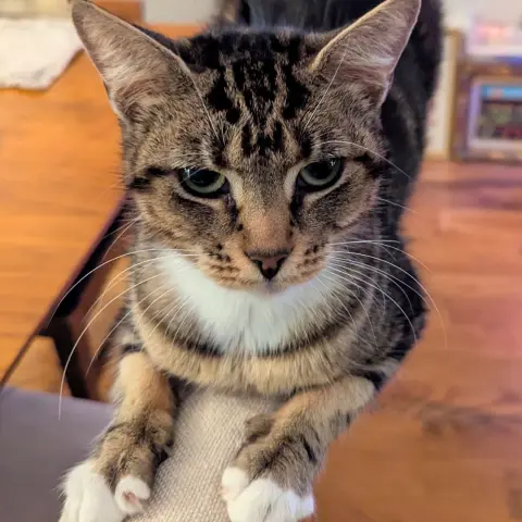 Adva & Mari-Tuuli thumbnail 5