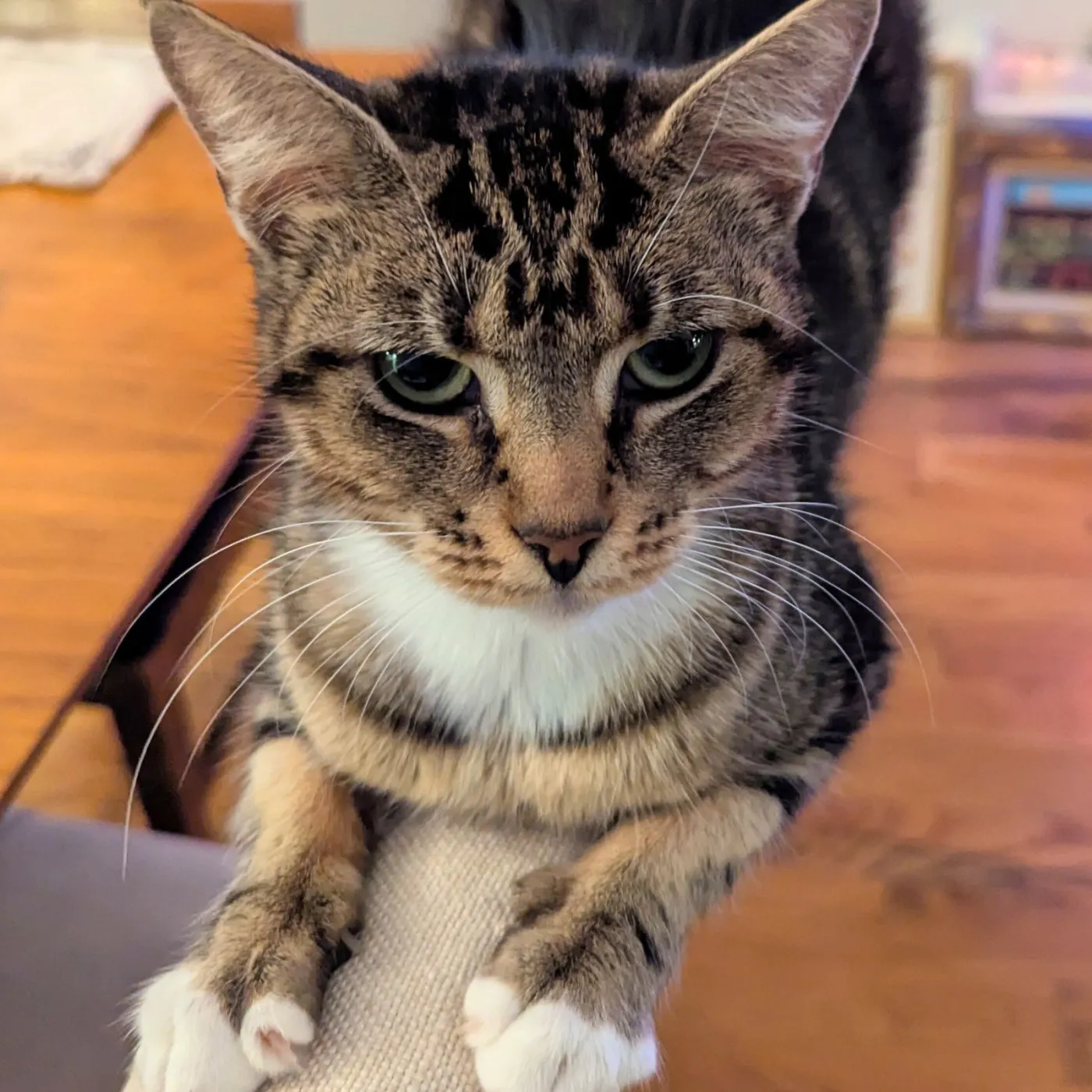 Adva & Mari-Tuuli - Photo 5