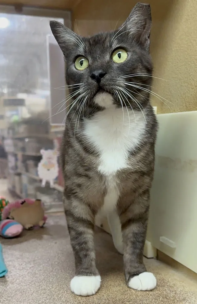 Sassy Pants - Photo 1