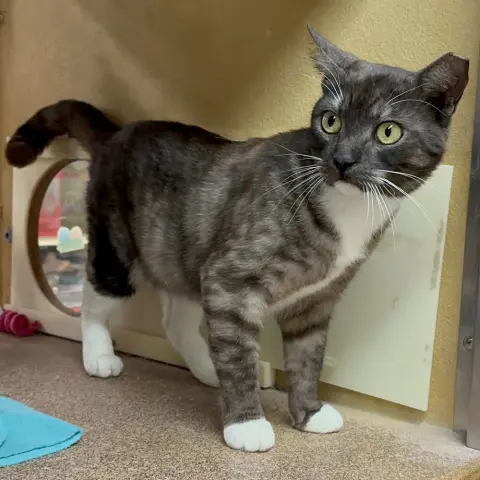 Sassy Pants thumbnail 2