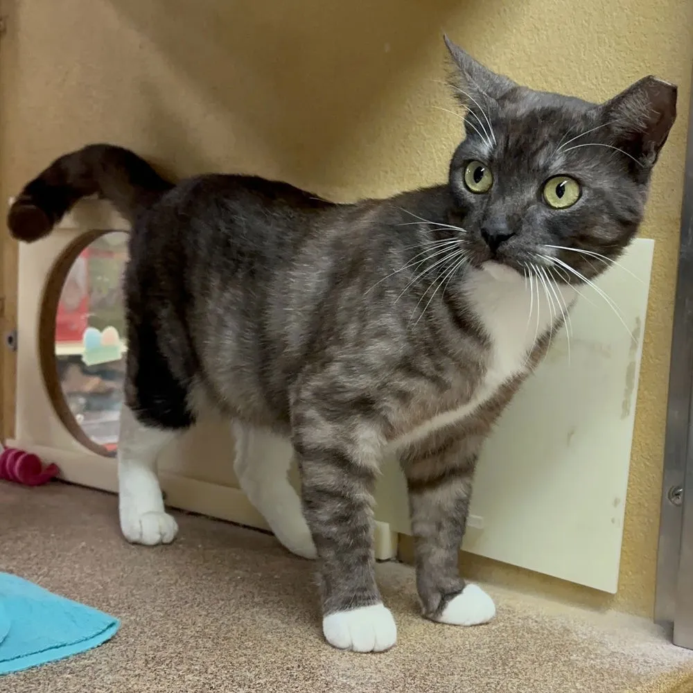 Sassy Pants - Photo 2