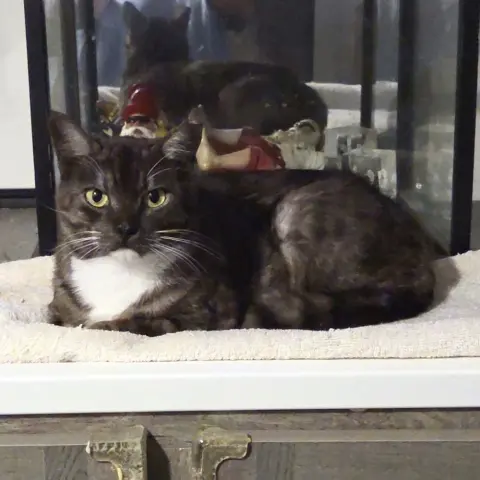 Sassy Pants thumbnail 3