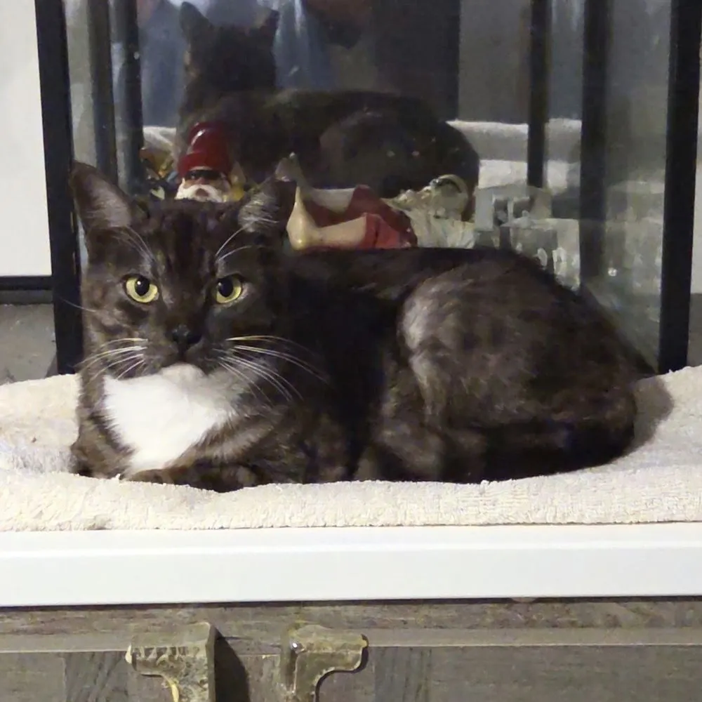 Sassy Pants - Photo 3