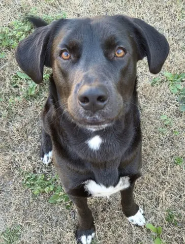 Lightning thumbnail 2