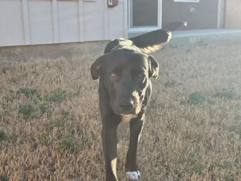 Lightning thumbnail 3